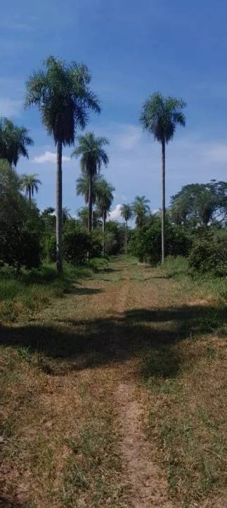 Terreno en venta en Altos