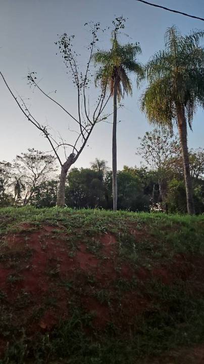 Terreno en venta en Luque