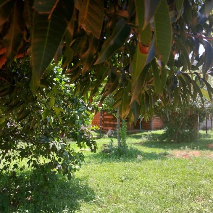 Terreno en venta en Luque