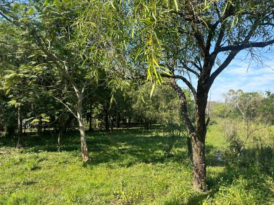 Terreno en venta en San Bernardino