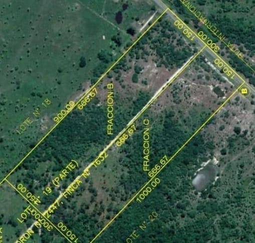 Terreno en venta en Jose Falcon