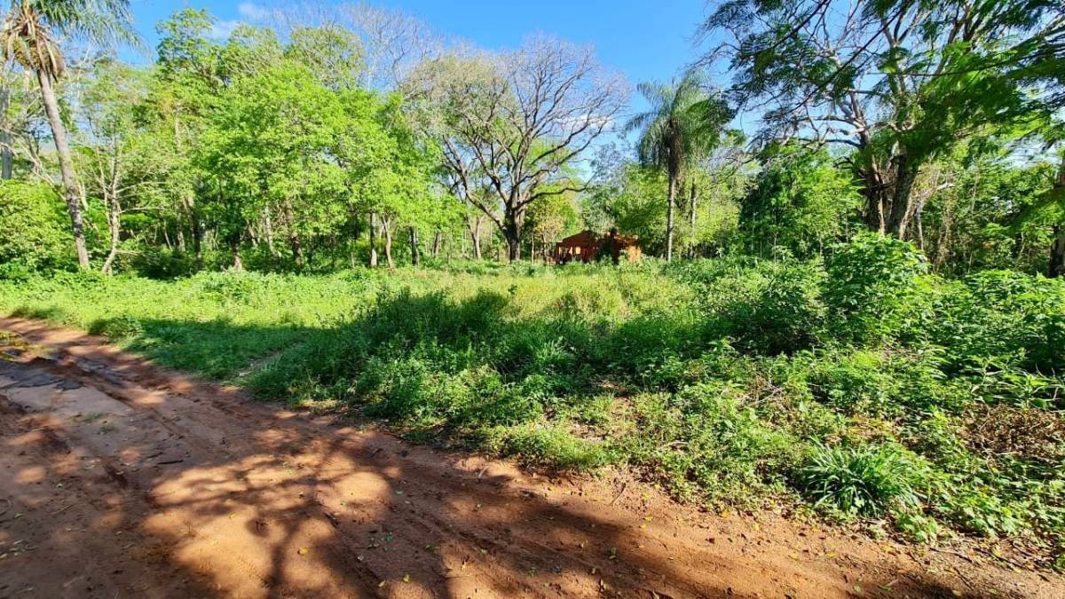 Terreno en venta en Limpio