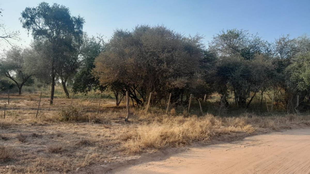 Terreno en venta en Loma Plata