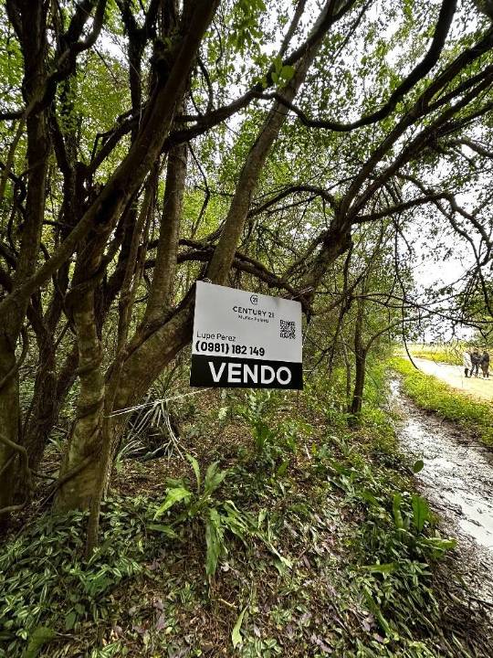 Terreno en venta en Mariano Roque Alonso