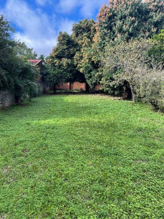 Terreno en venta en Nemby