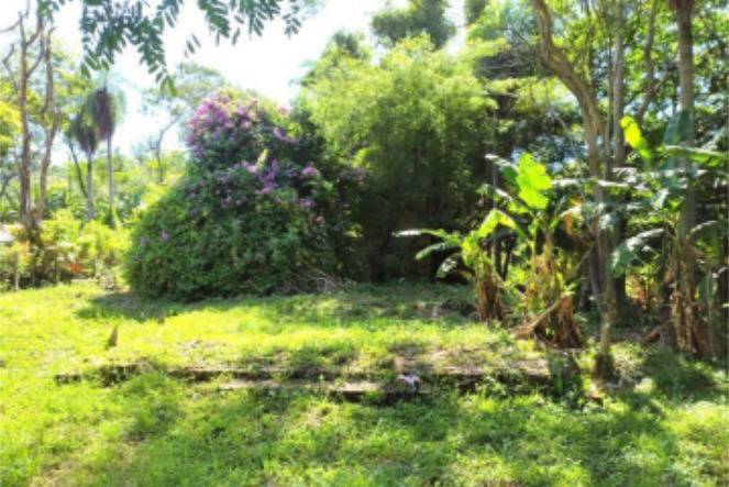 Terreno en venta en Caacupe
