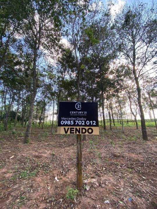 Terreno en venta en Caaguazu