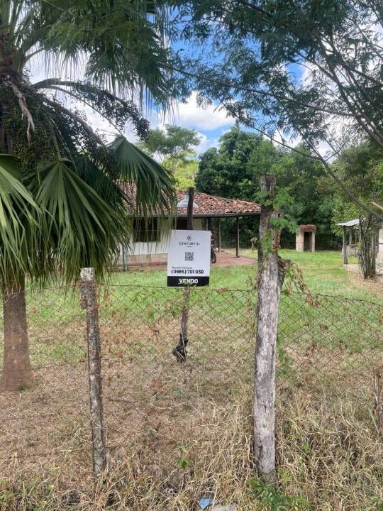 Terreno en venta en Limpio