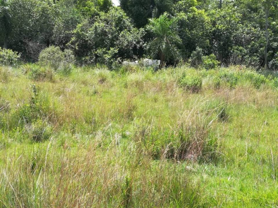 Estancia en venta en Caapucu
