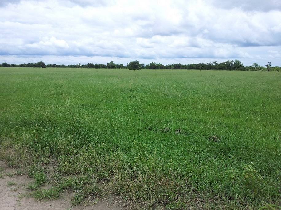 Estancia en venta en Benjamin Aceval