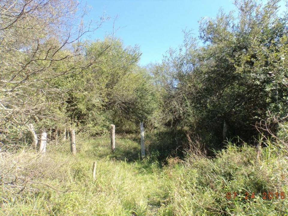 Estancia en venta en Benjamin Aceval