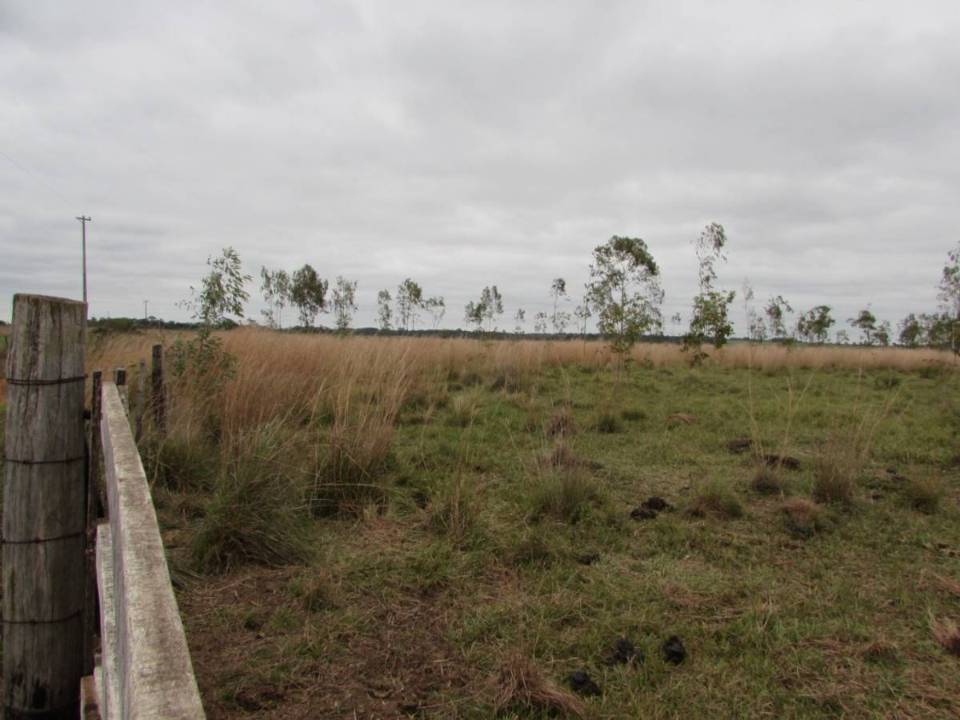 Estancia en venta en Coronel Bogado