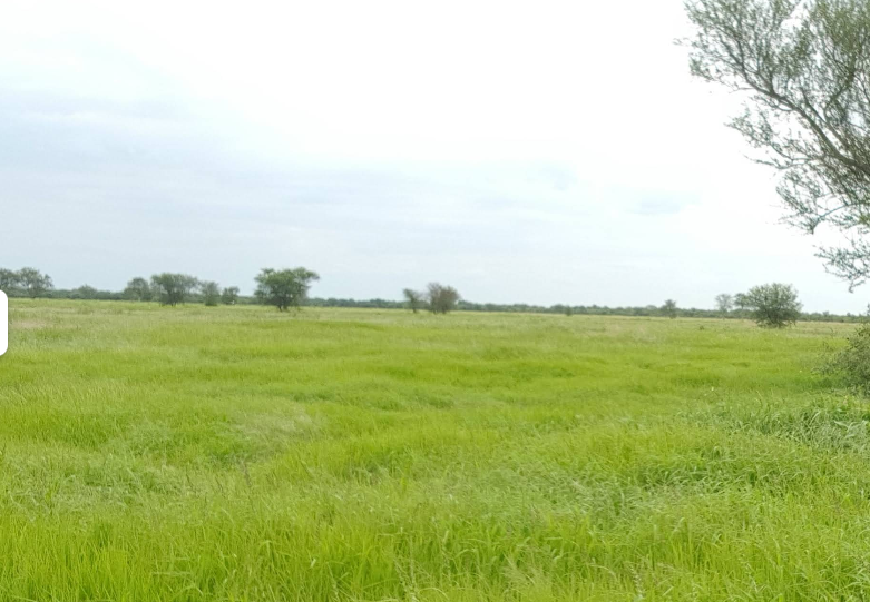 Estancia en venta en Zona Toro Pampa