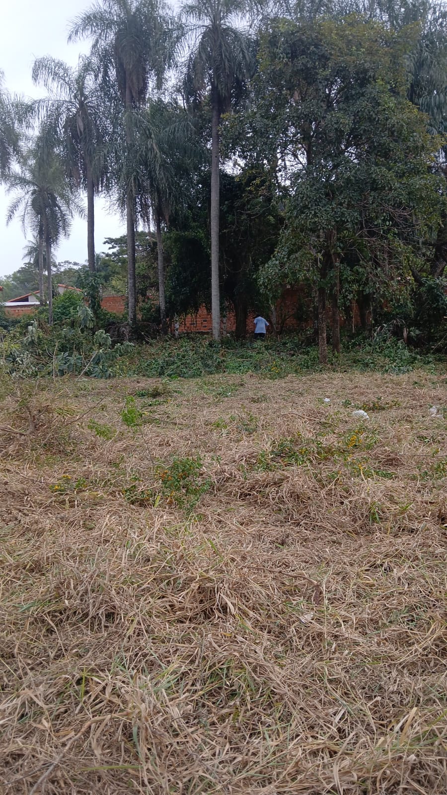Terreno en venta en Caacupe