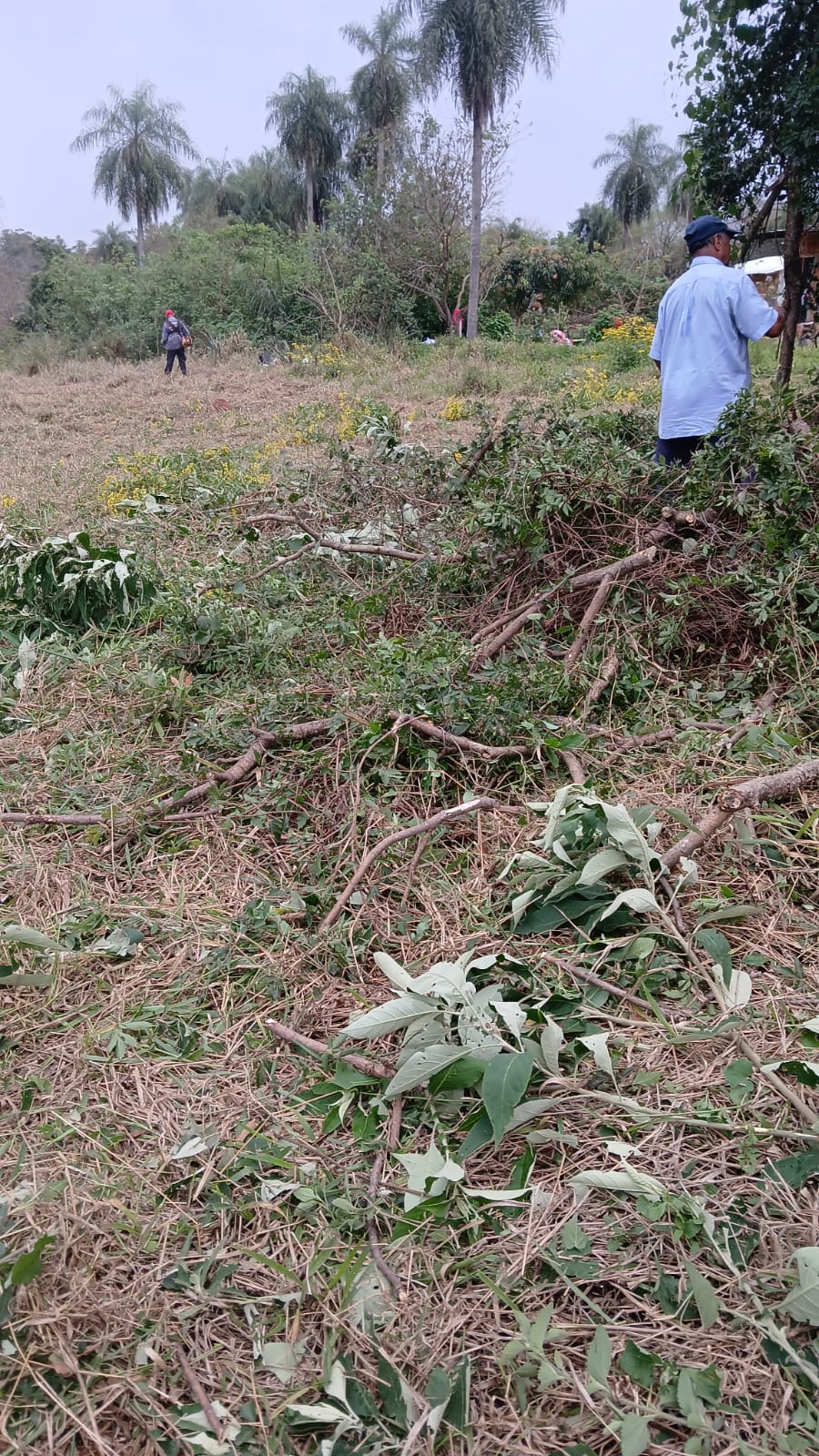 Terreno en venta en Caacupe