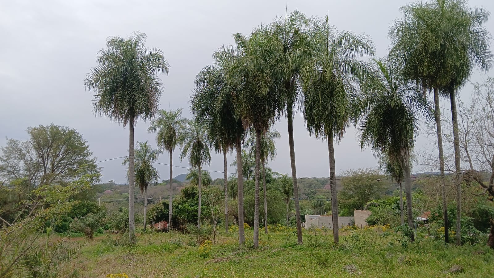 Terreno en venta en Caacupe
