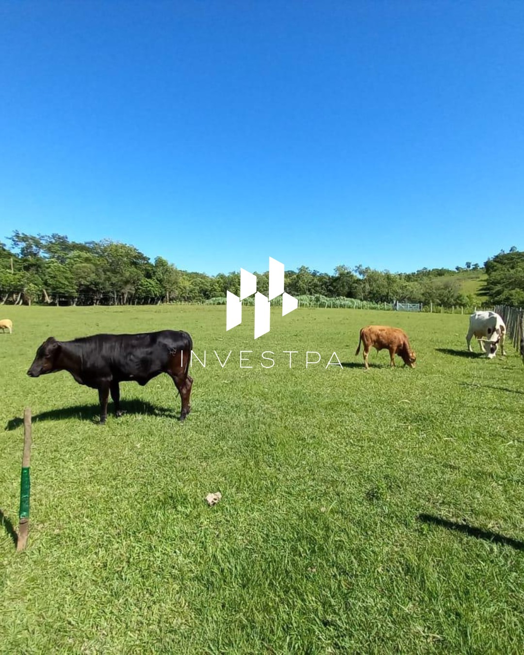 Estancia en alquiler en Colonia Blas Garay, Caaguazu Paraguay