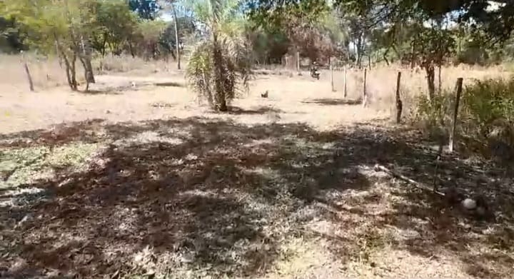 Terreno en venta en CIERVO CUA