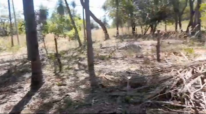 Terreno en venta en CIERVO CUA