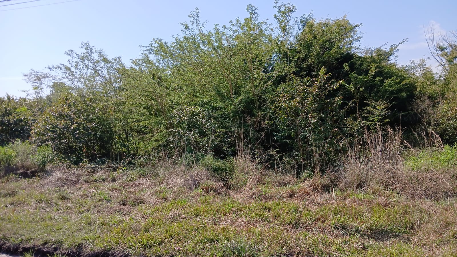 Terreno en venta en Paso Puente