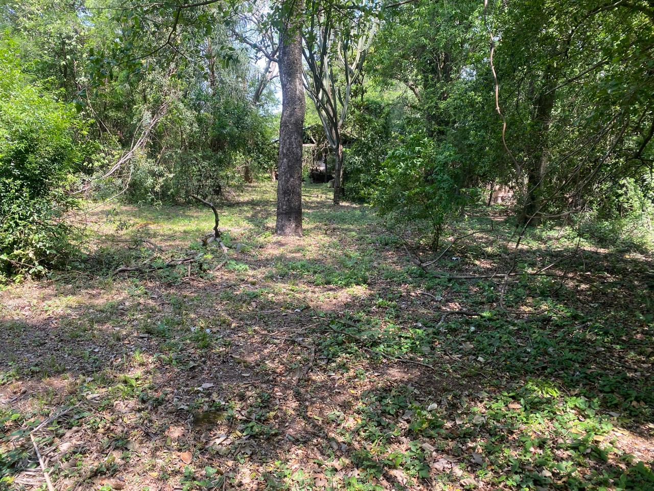 Terreno en venta en Lambare