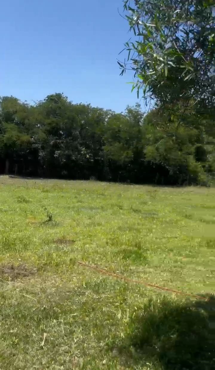 Terreno en venta en Tarumandy