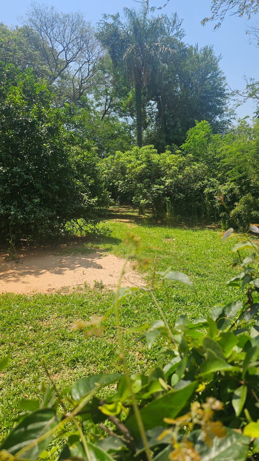 Terreno en venta en Mariano Roque Alonso