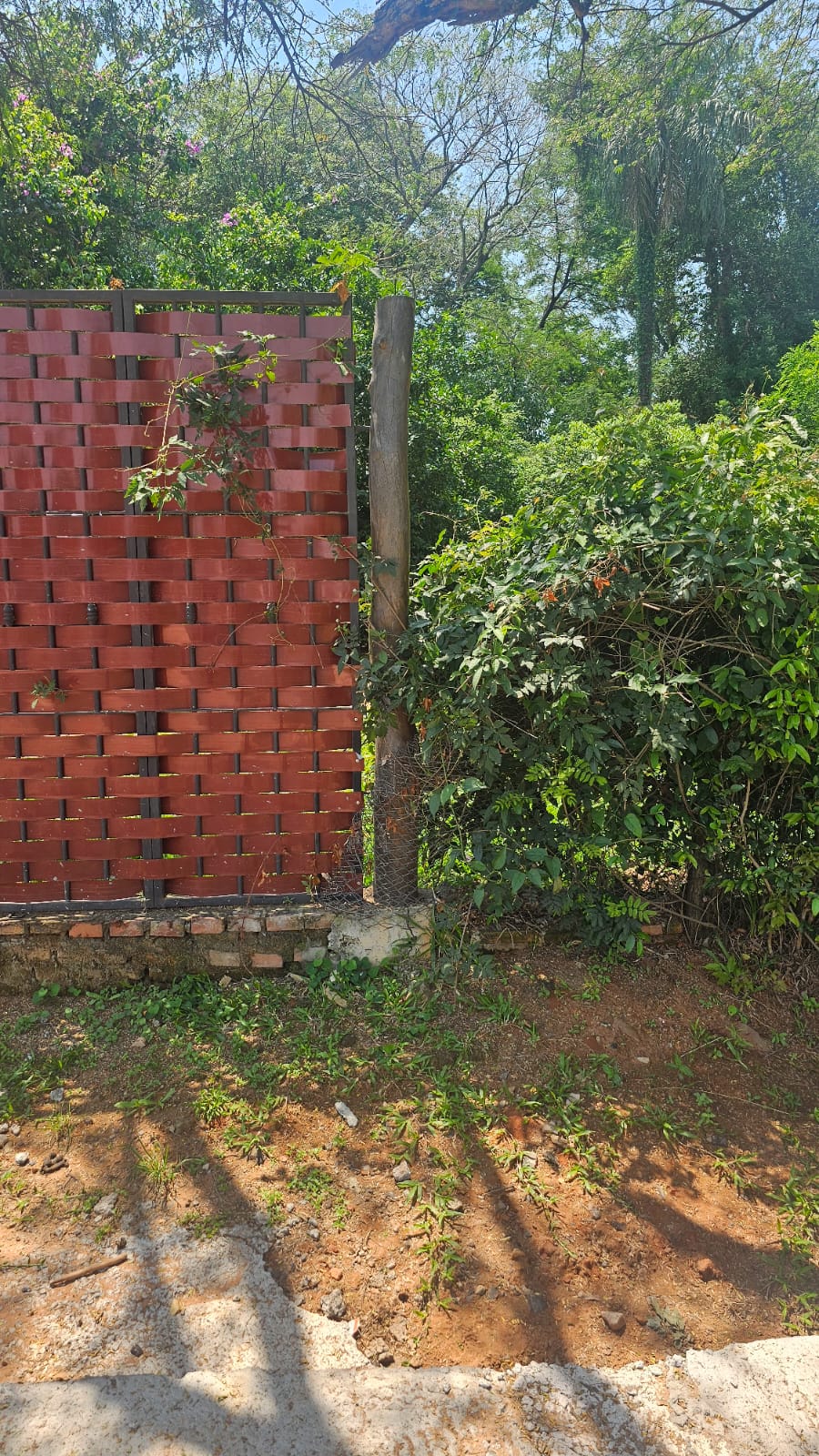 Terreno en venta en Mariano Roque Alonso
