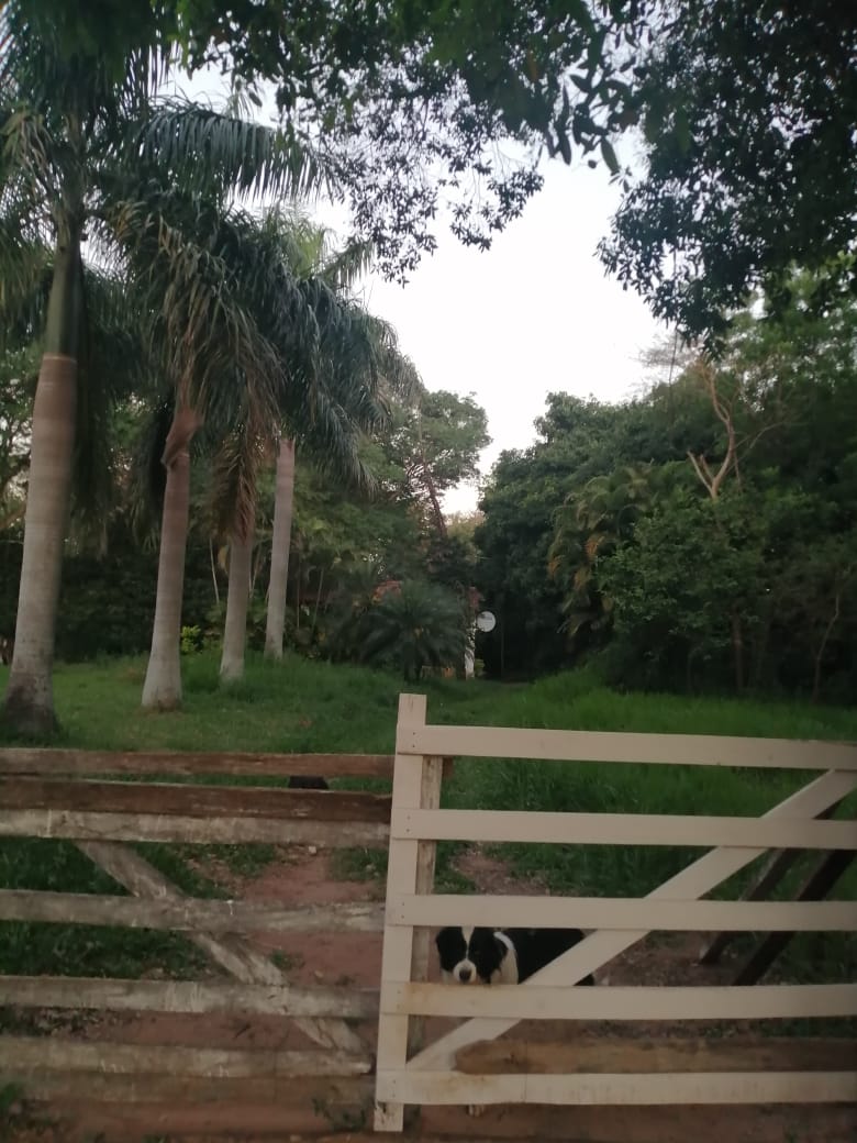 Terreno en venta en Luque