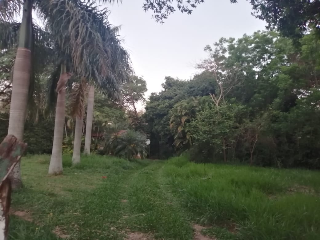 Terreno en venta en Luque