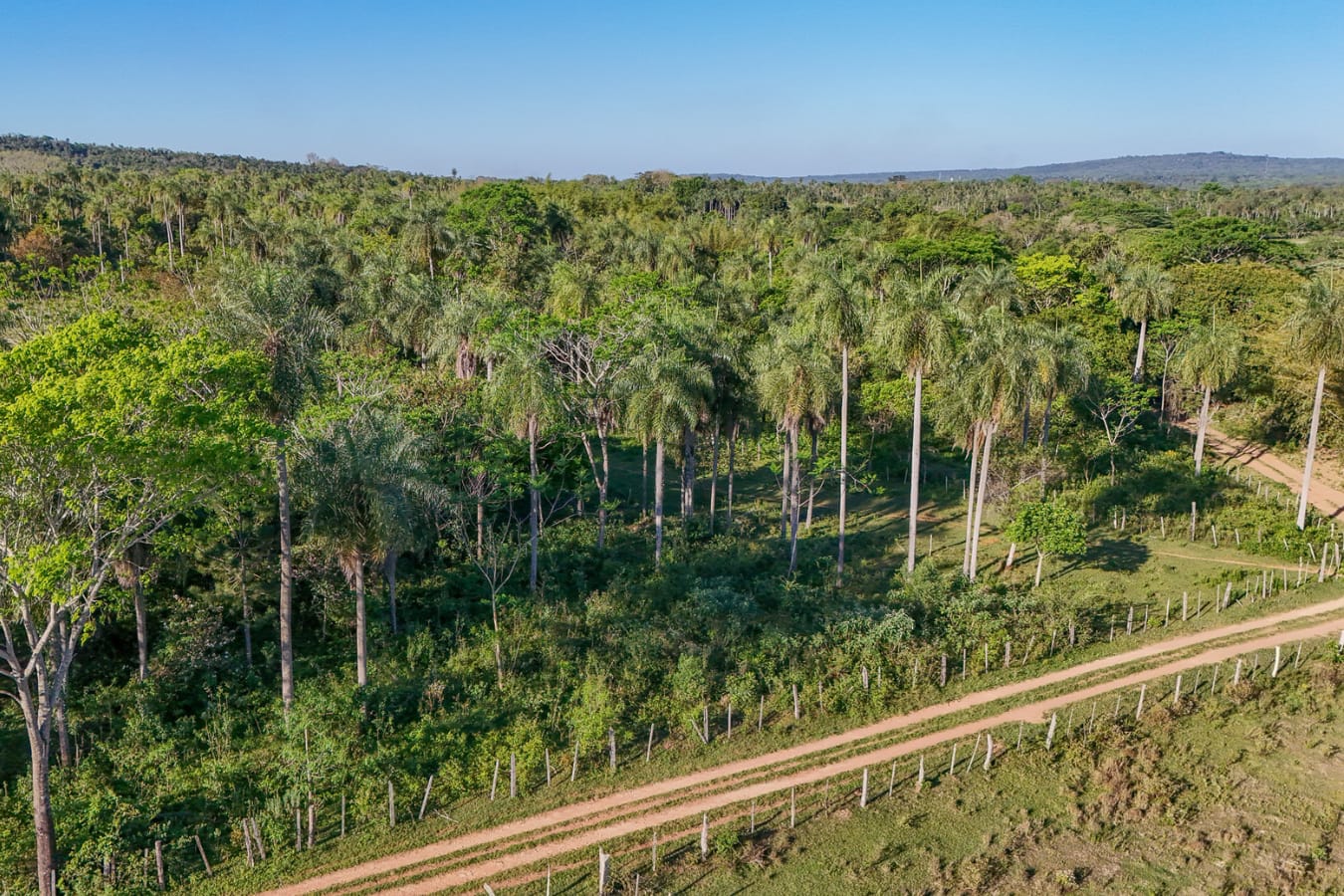 Terreno en venta en Altos