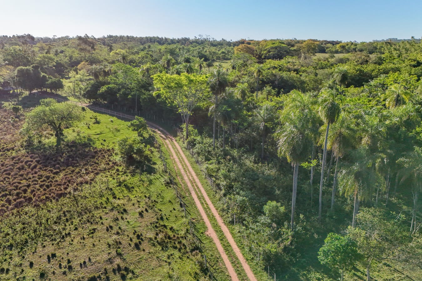Terreno en venta en Altos