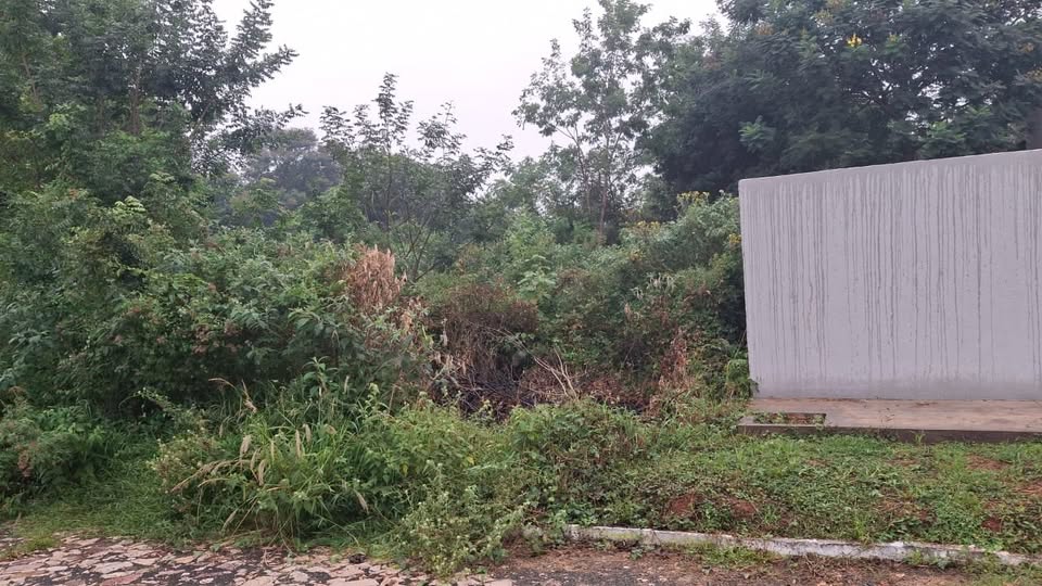 Terreno en venta en Luque