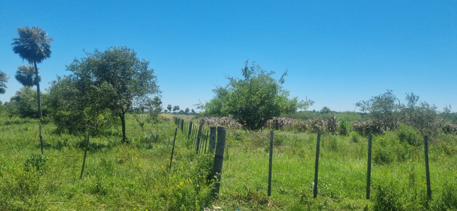 Terreno en venta en Rio Verde