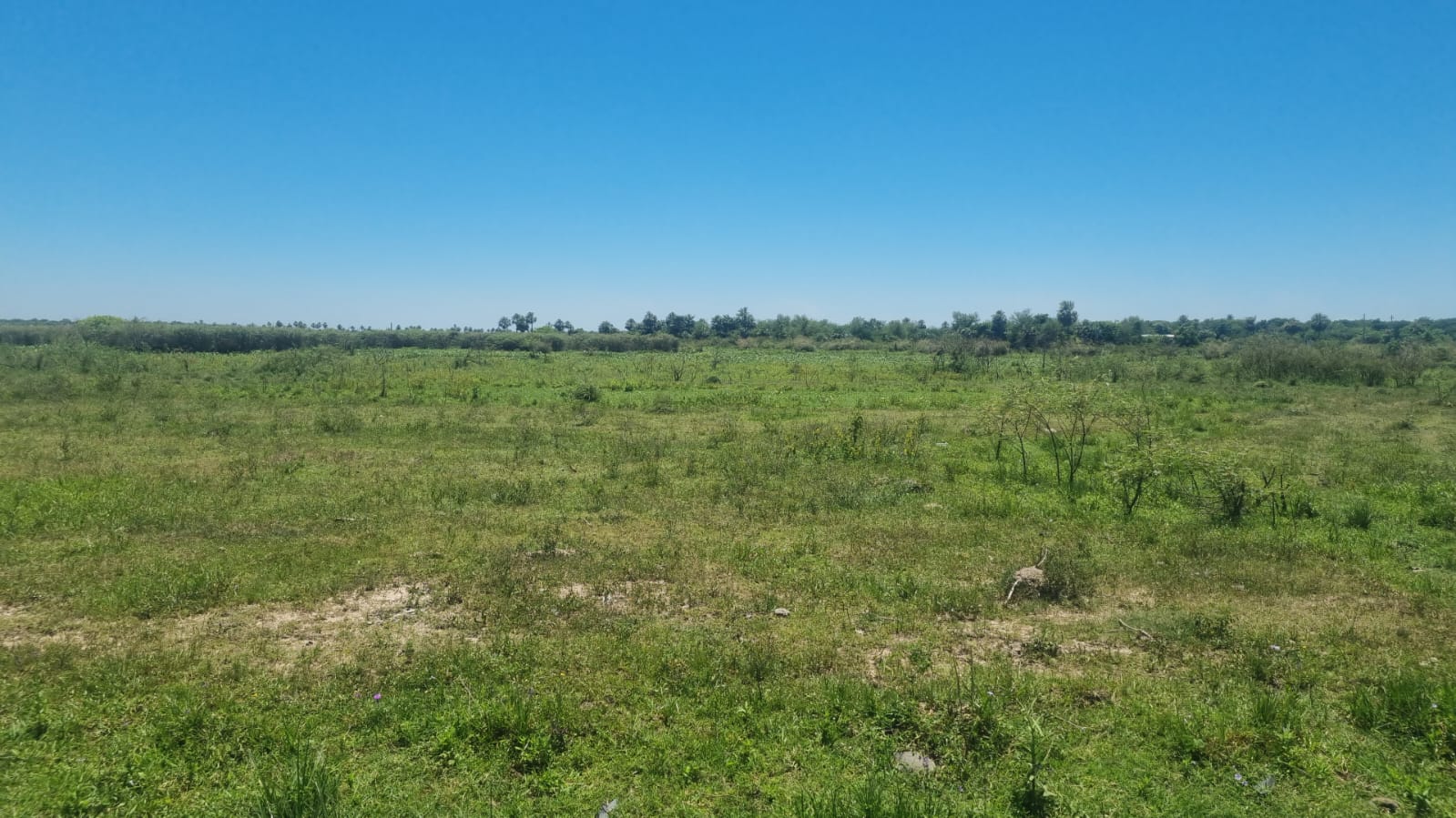 Terreno en venta en Rio Verde