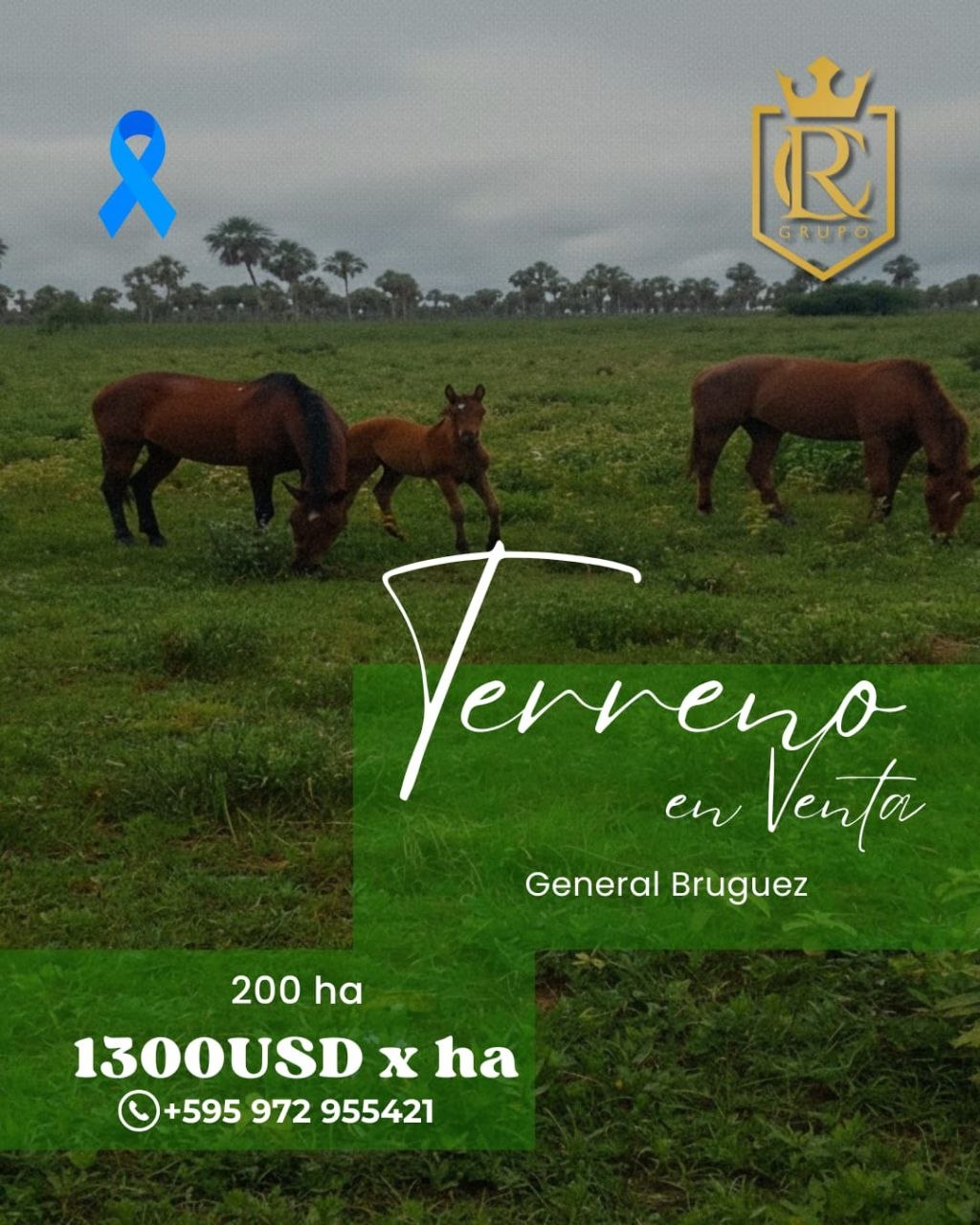 Terreno en venta en General bruguez