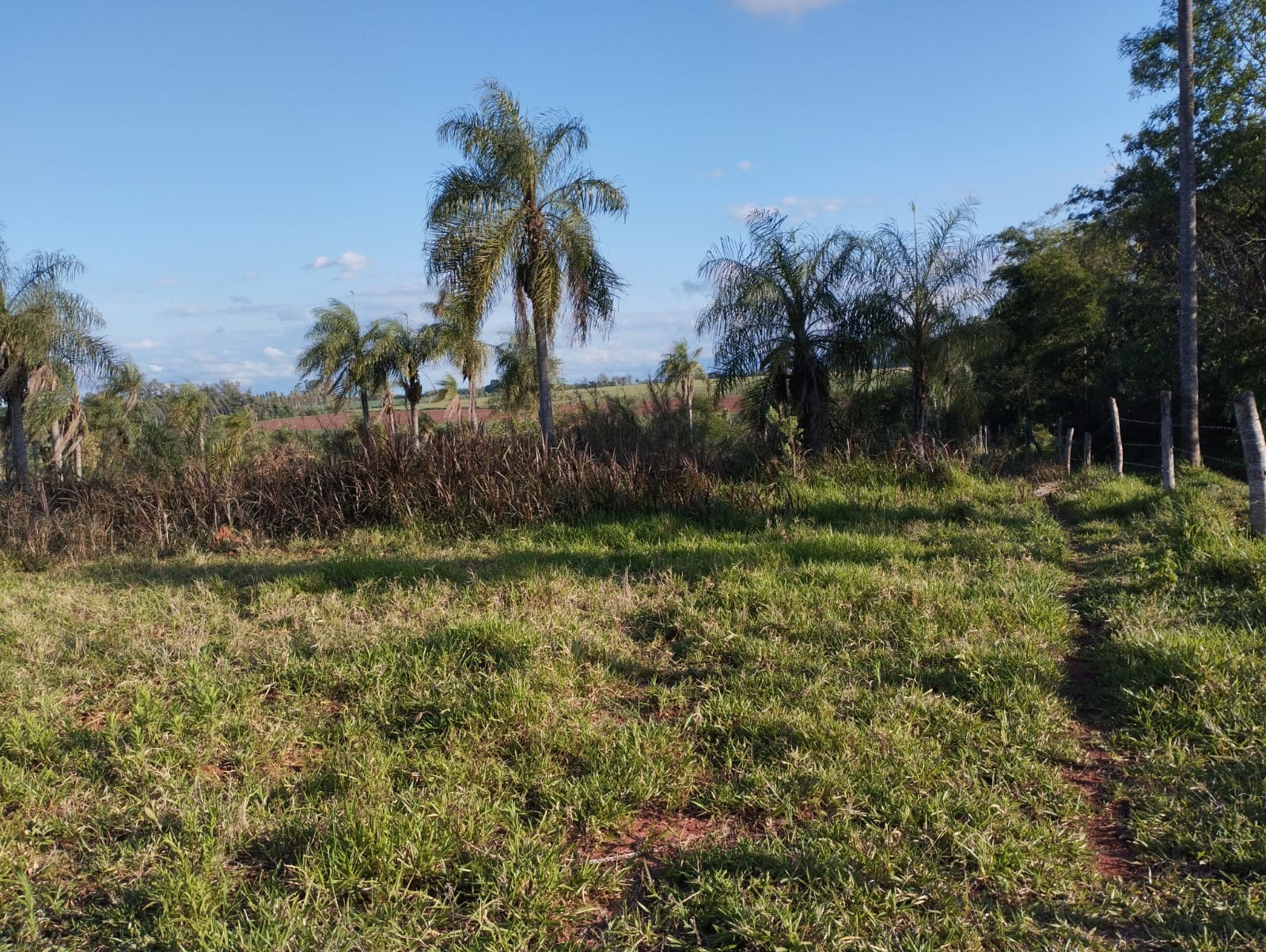 Quinta en venta en Pirayu