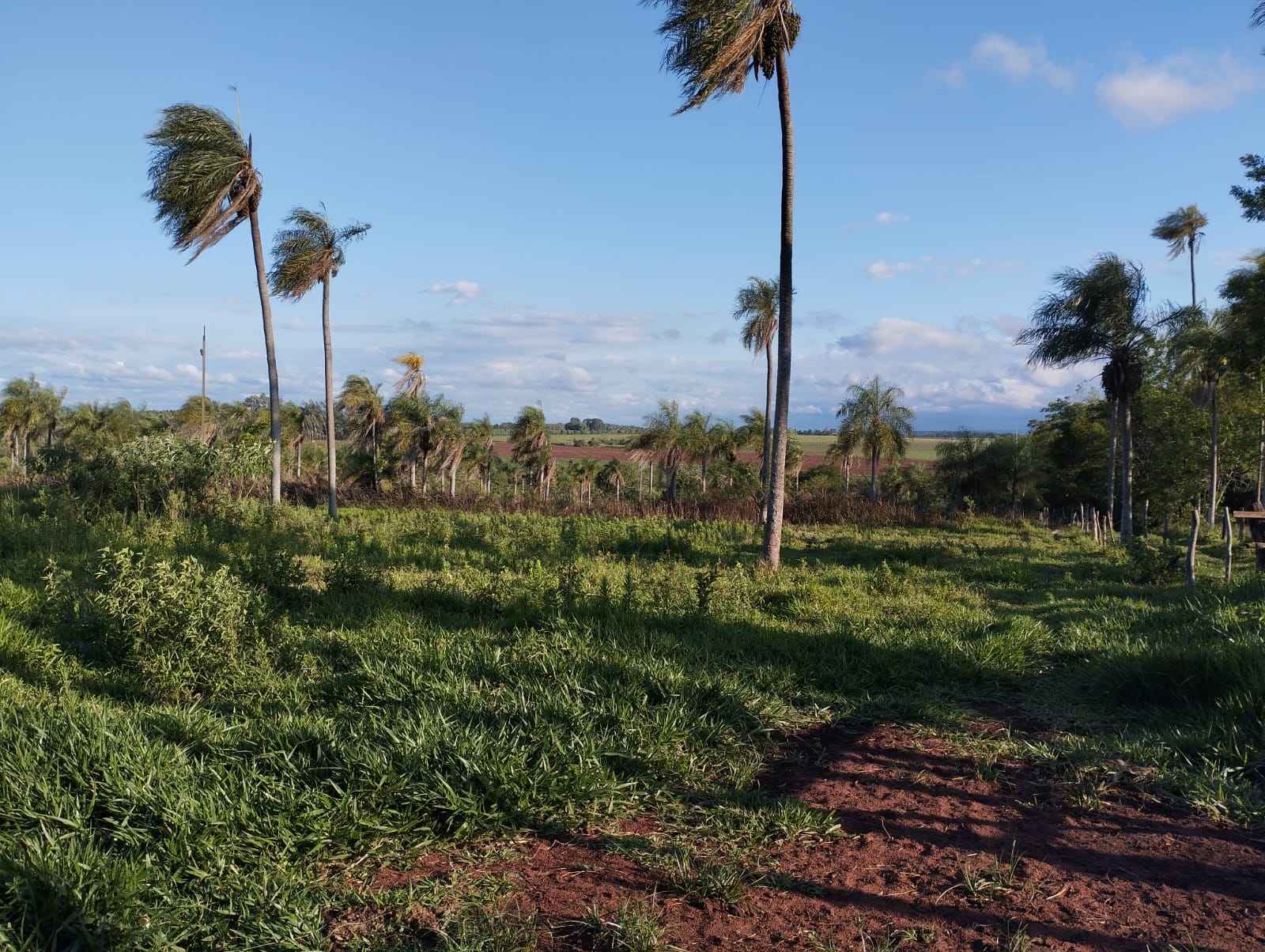 Quinta en venta en Pirayu