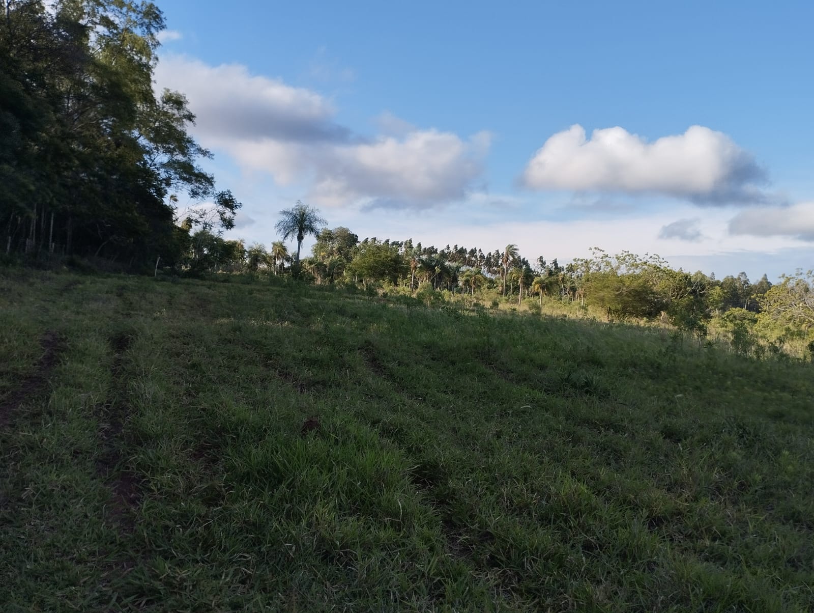 Quinta en venta en Pirayu