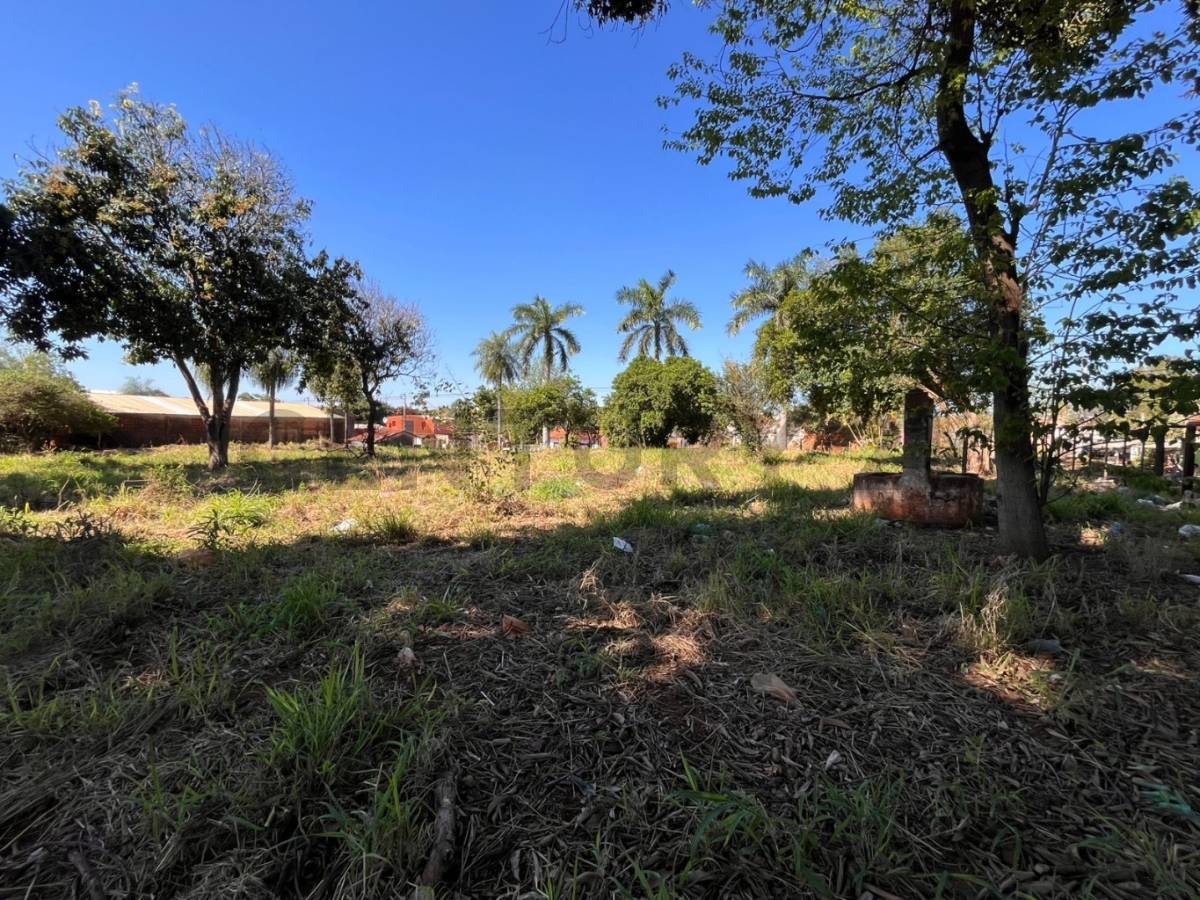 Terreno en venta en J.A. Saldivar