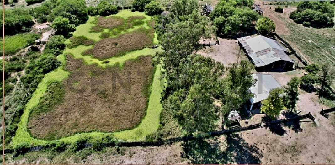 Estancia en venta en Villa Hayes
