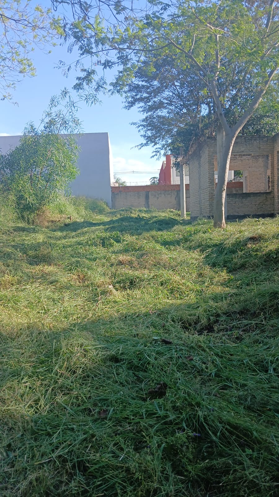 Terreno en venta en Lambare