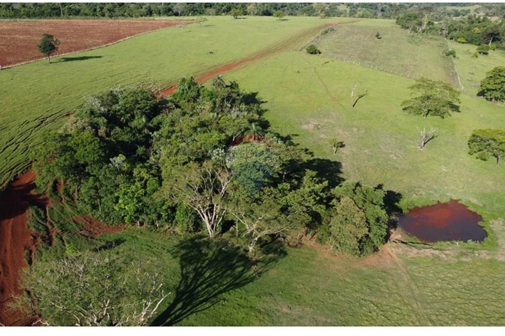 Estancia en venta en Colonia Independencia