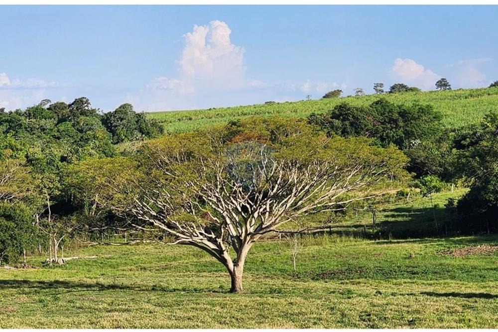 Estancia en venta en Colonia Independencia