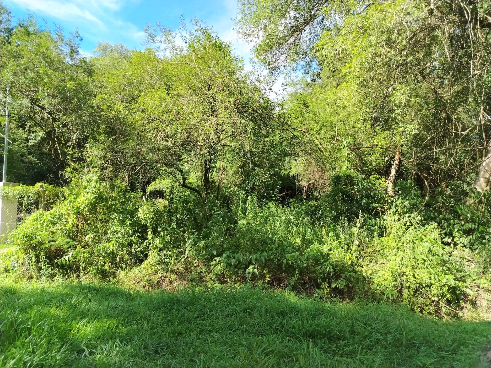 Terreno en venta en Zárate Isla