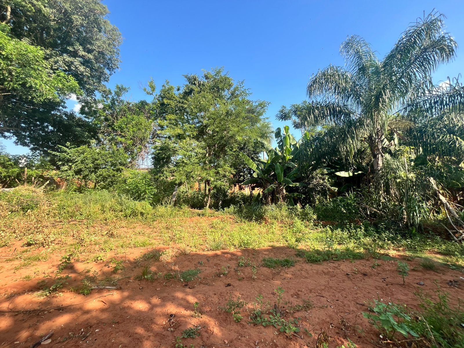 Terreno en venta en LUQUE LIMPIO